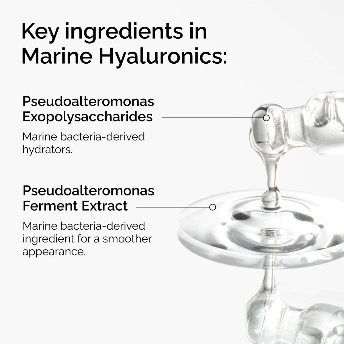 marine-hyaluronics-d8 FY25-D41247-ORD-Web-PDP-Marine-Hya-1x1-EN-2a.jpg