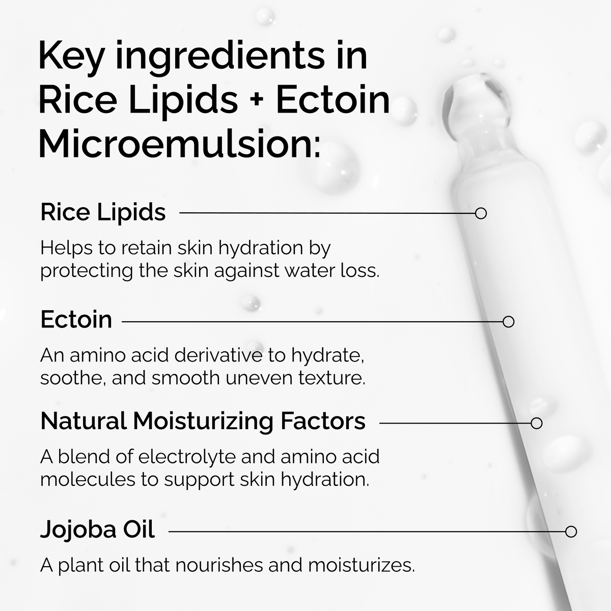 rice-lipids-ectoin-microemulsion-w2 ord-rice-lipids-ectoin-microemulsion-key-ingredients.png